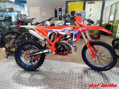 Betamotor RX 250 2T (2026) nuova