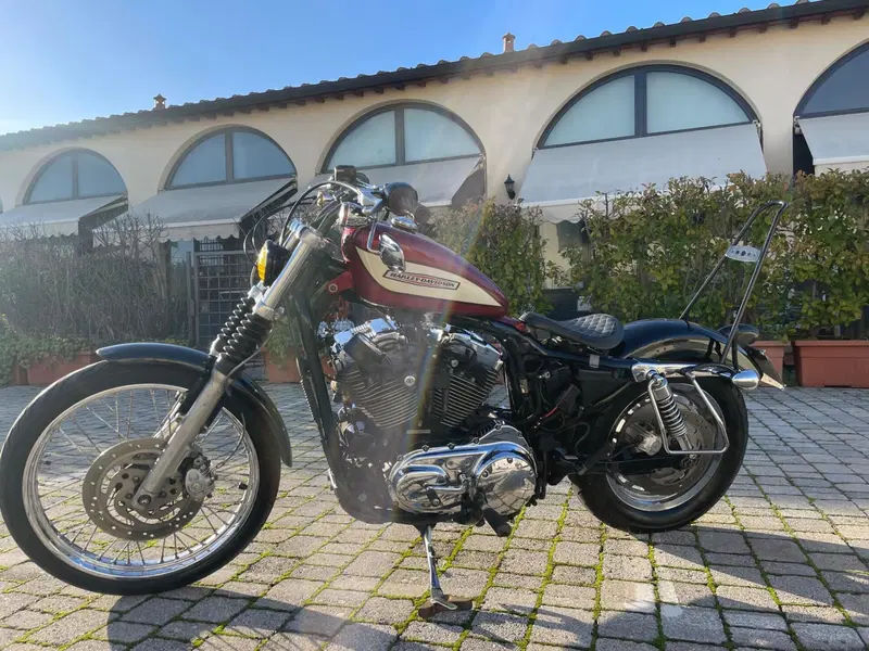 Harley-Davidson 1200 Custom (2004 - 06) - XL 1200C (2)