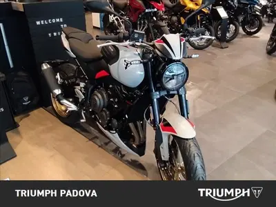 Triumph Trident 800 (2026) nuova