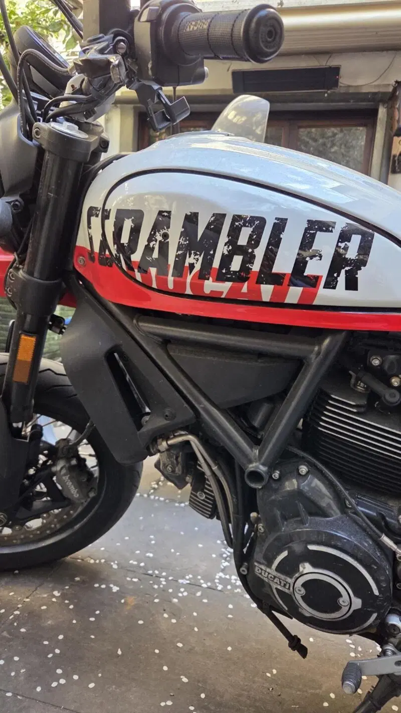 Ducati Scrambler 800 Desert Sled (2021 - 22) (7)