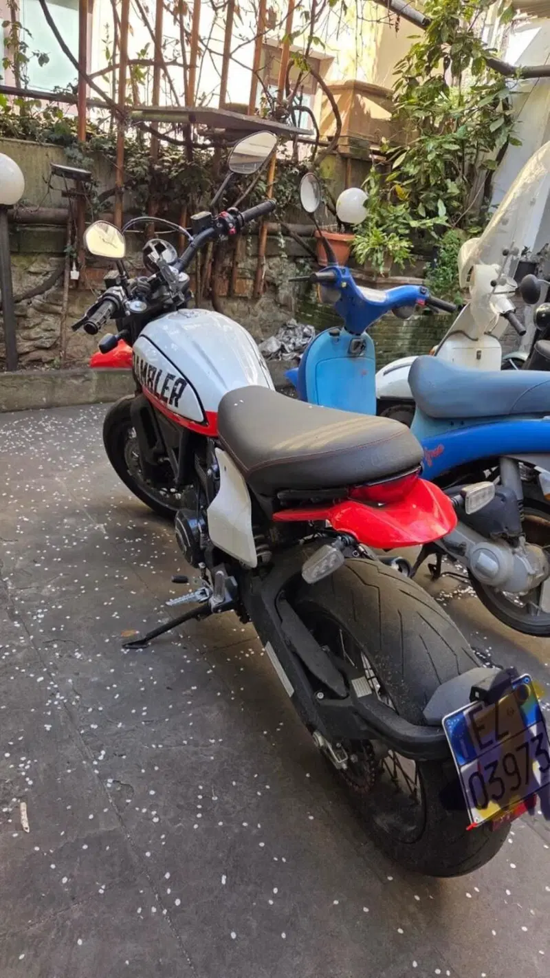 Ducati Scrambler 800 Desert Sled (2021 - 22) (18)