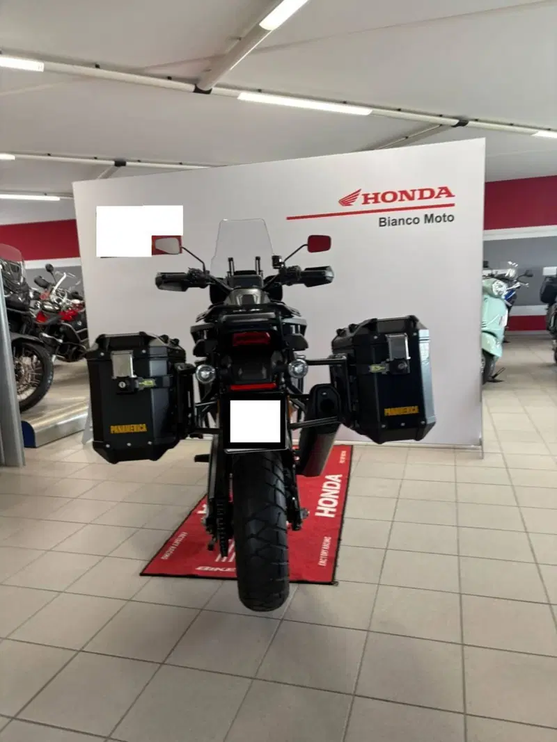Harley-Davidson Pan America 1250 (2020 - 25) (6)