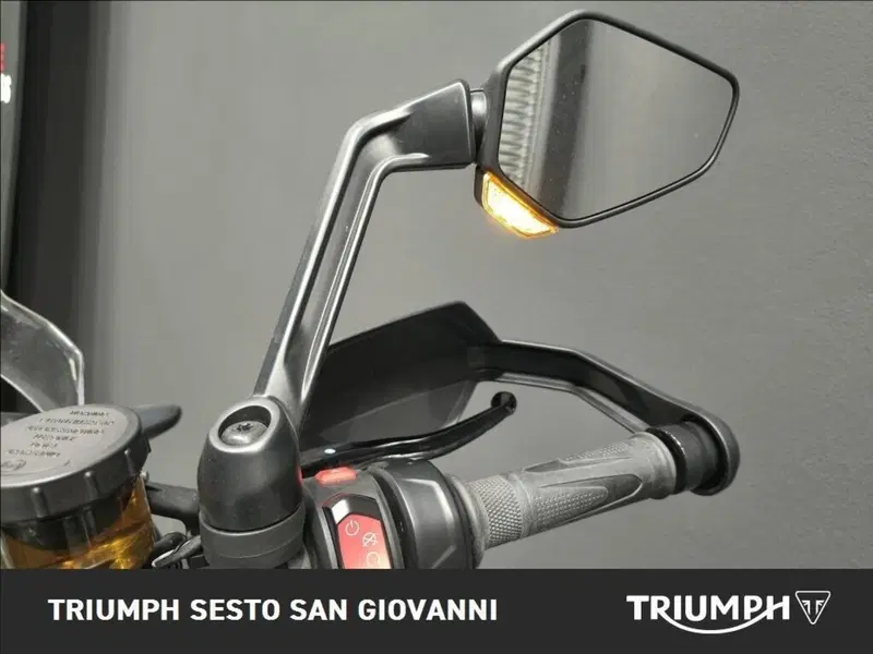 Triumph Tiger 1200 Rally Explorer (2022 - 23) (7)