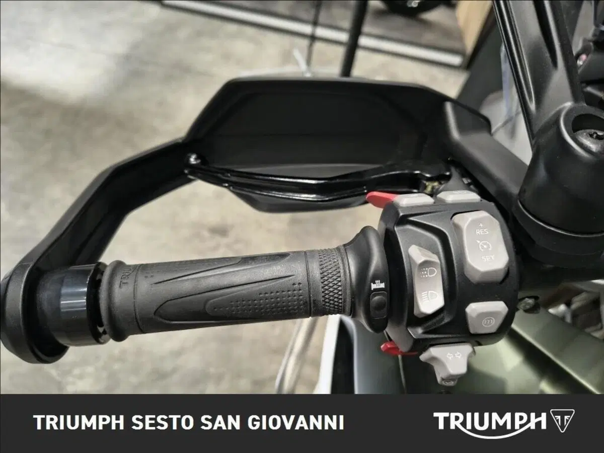 Triumph Tiger 1200 Rally Explorer (2022 - 23) (5)