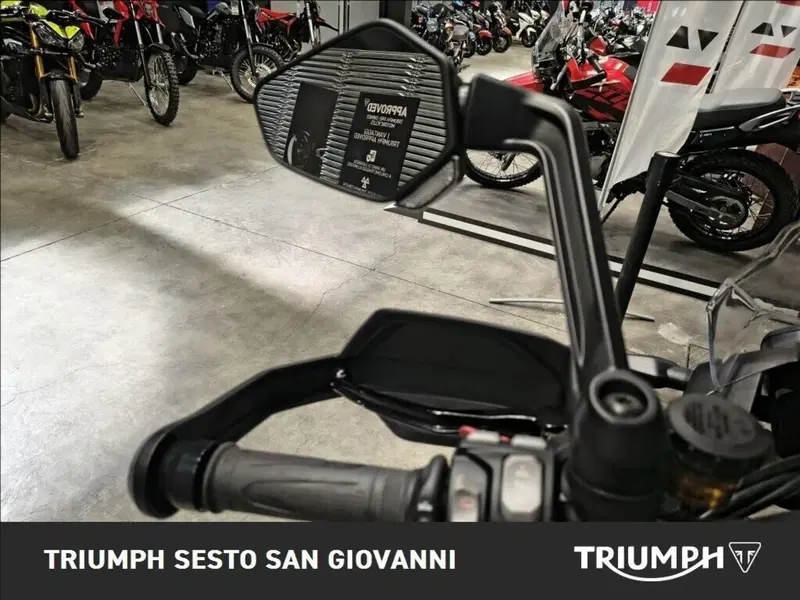 Triumph Tiger 1200 Rally Explorer (2022 - 23) (8)
