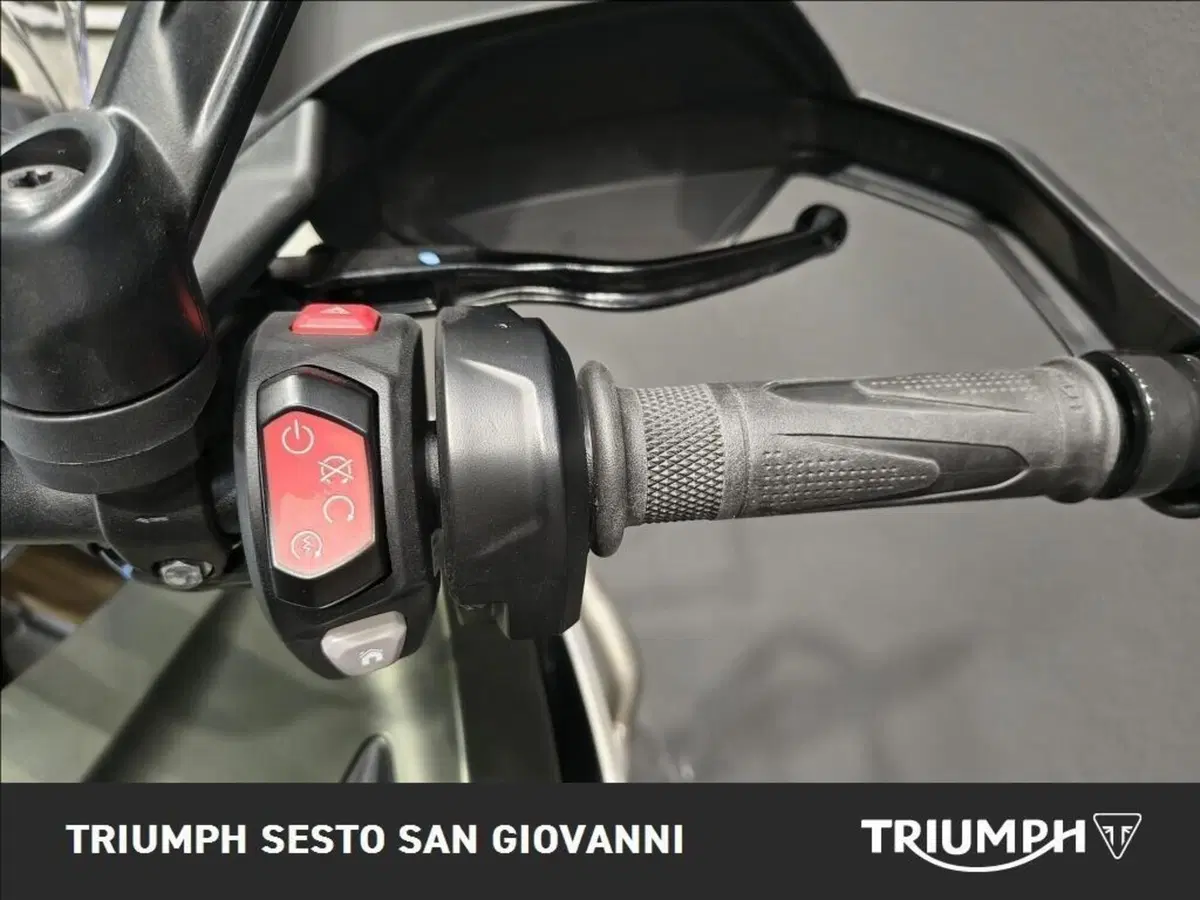 Triumph Tiger 1200 Rally Explorer (2022 - 23) (6)
