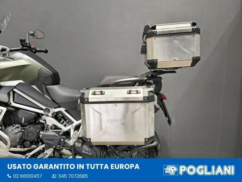 Triumph Tiger 1200 Rally Explorer (2022 - 23) (12)