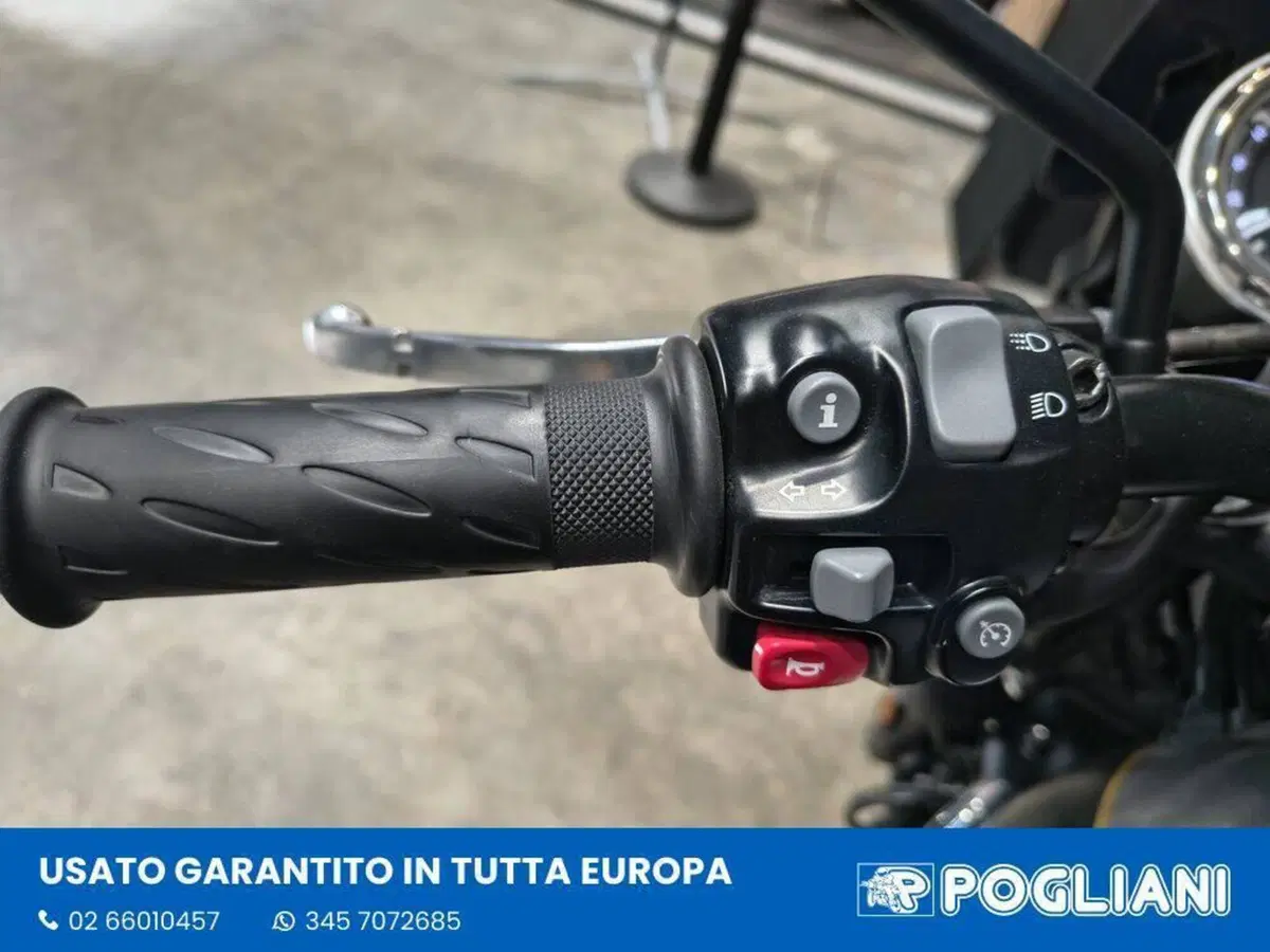 Triumph Bonneville T120 Gold Line Edition (2022 - 23) (9)