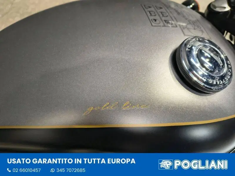 Triumph Bonneville T120 Gold Line Edition (2022 - 23) (13)