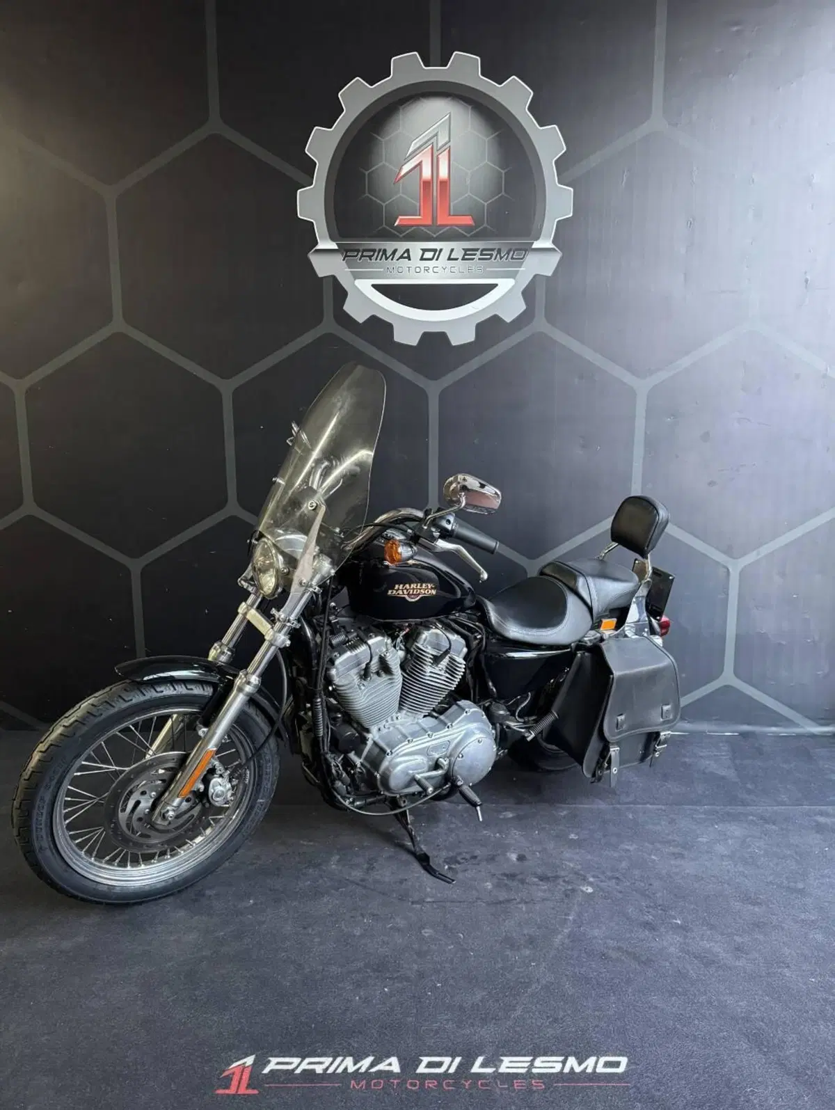 Harley-Davidson 883 Custom (2008 - 12) - XL 883C (3)