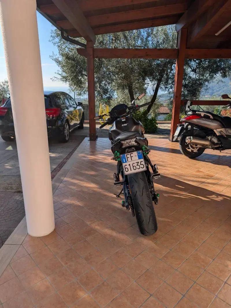 Kawasaki Z 650 (2021 - 24) (5)