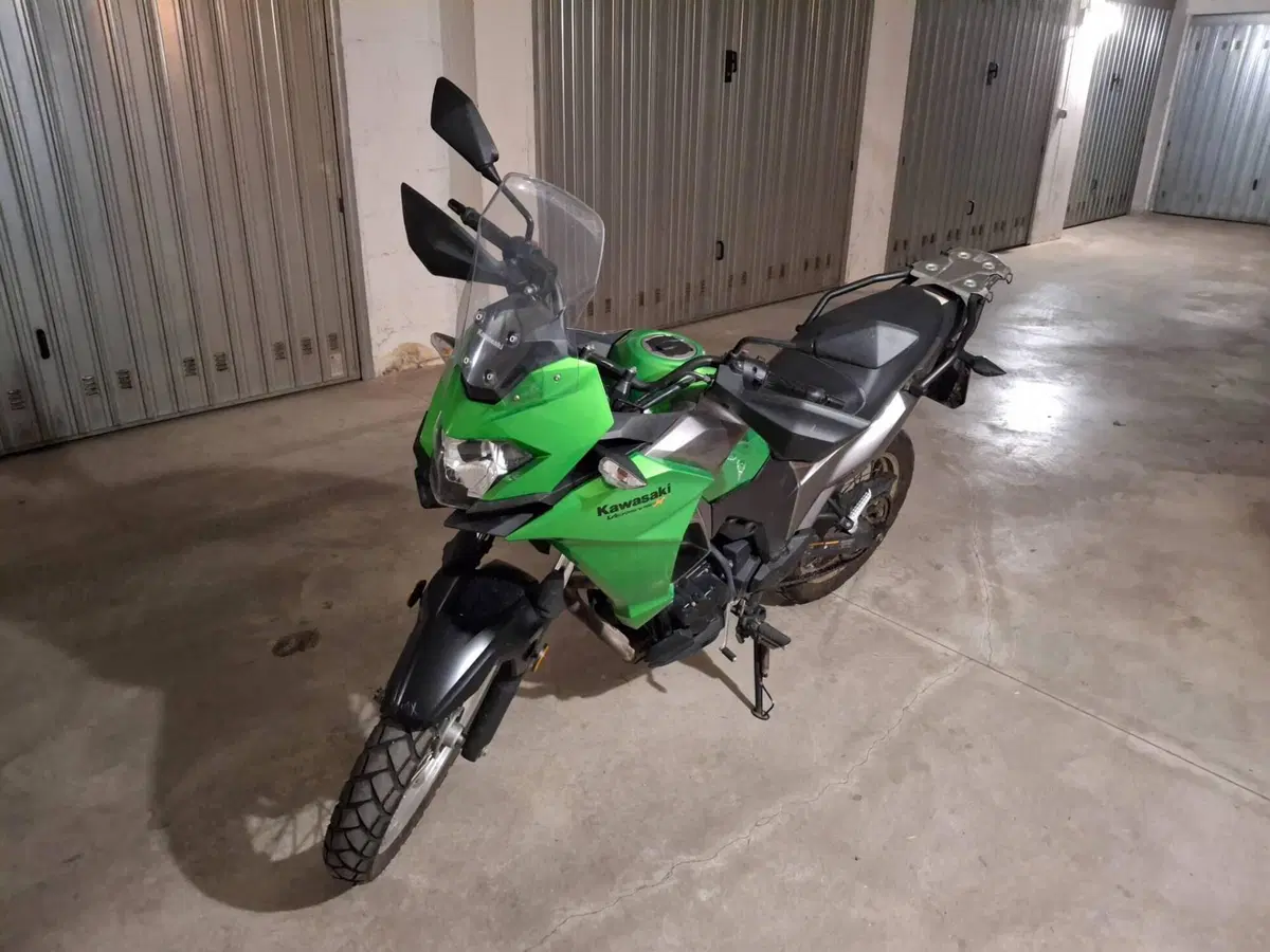 Kawasaki Versys-X 300 (2017 - 20)
