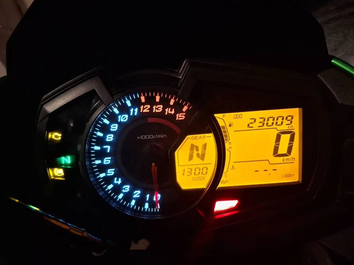 Kawasaki Versys-X 300 (2017 - 20) (7)