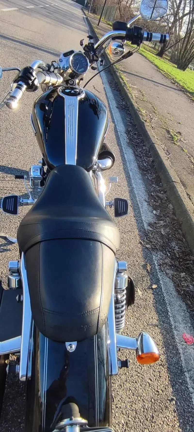 Harley-Davidson 1200 Custom (2007 - 13) - XL 1200C (6)