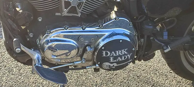 Harley-Davidson 1200 Custom (2007 - 13) - XL 1200C (2)