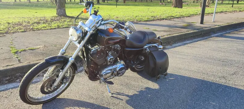 Harley-Davidson 1200 Custom (2007 - 13) - XL 1200C (3)