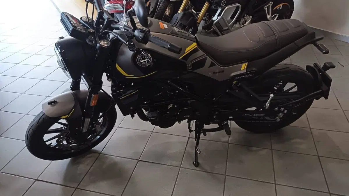 Benelli Leoncino 250 (2021 - 25) (3)