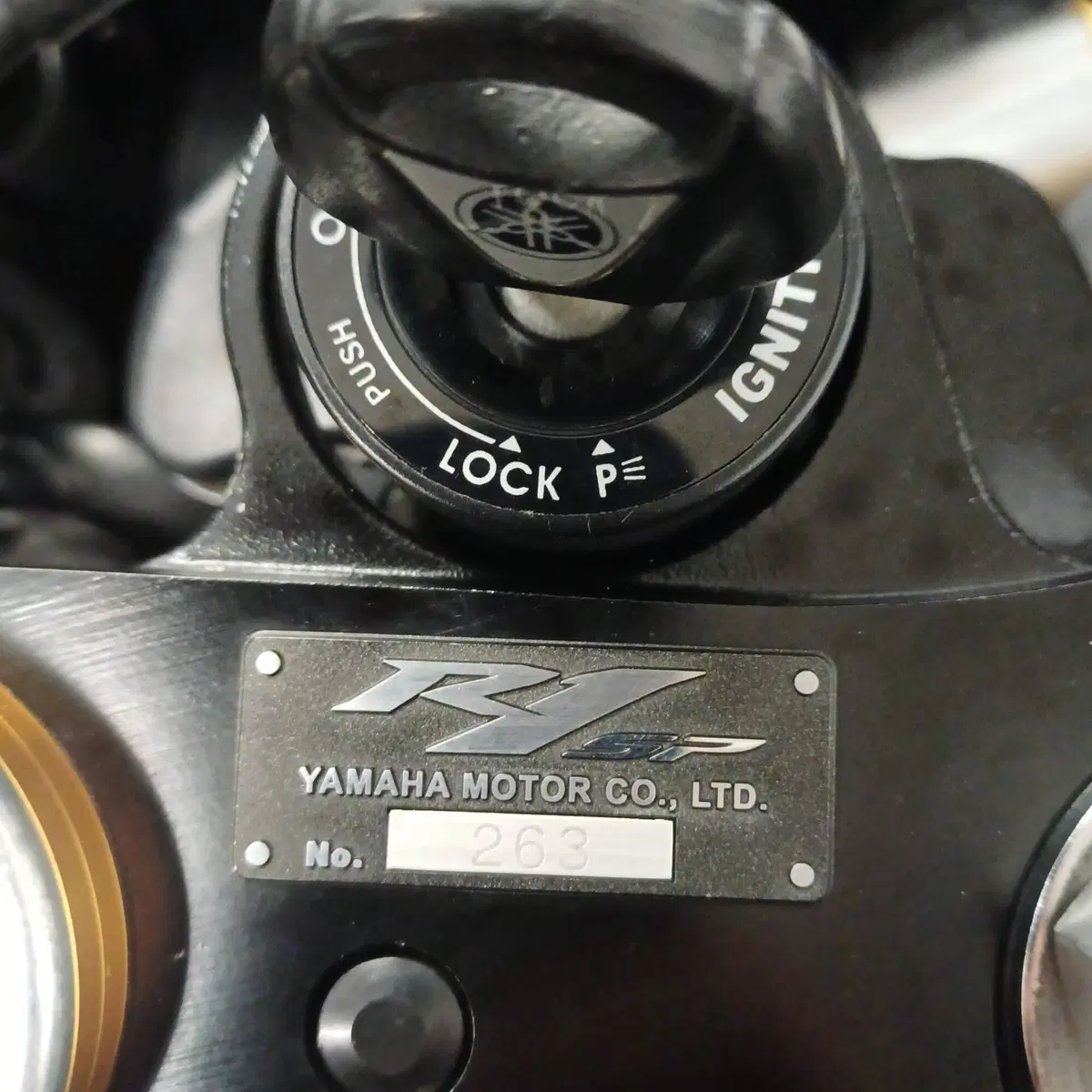 Yamaha YZF R1 SP1 (2006) (20)