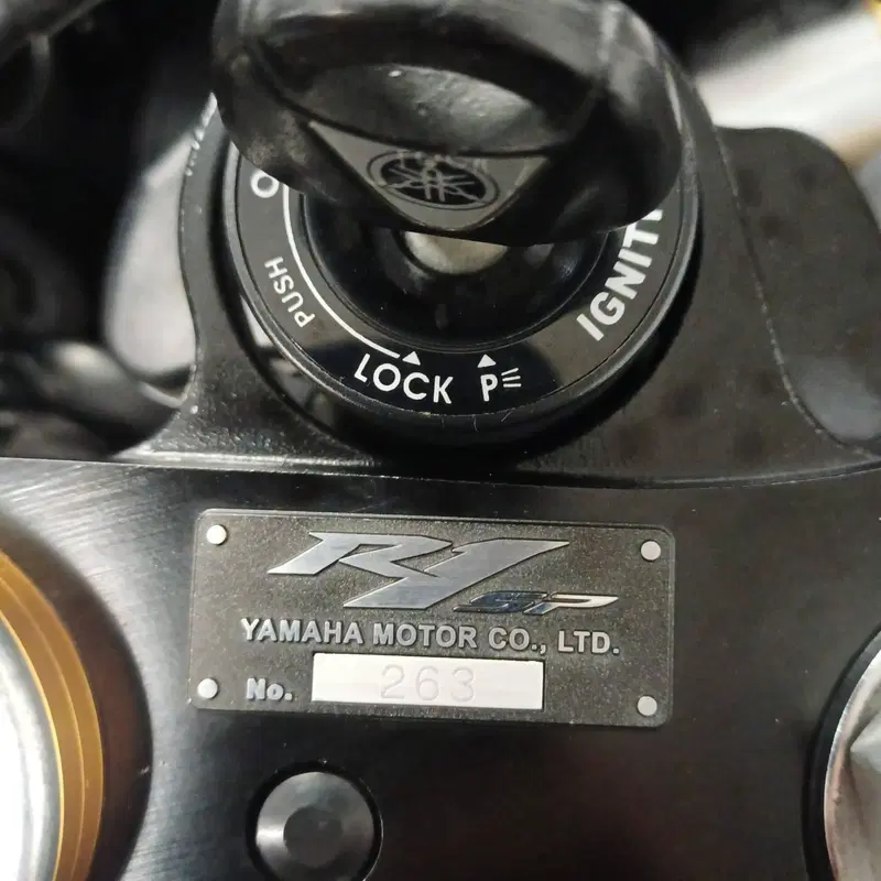 Yamaha YZF R1 SP1 (2006) (20)