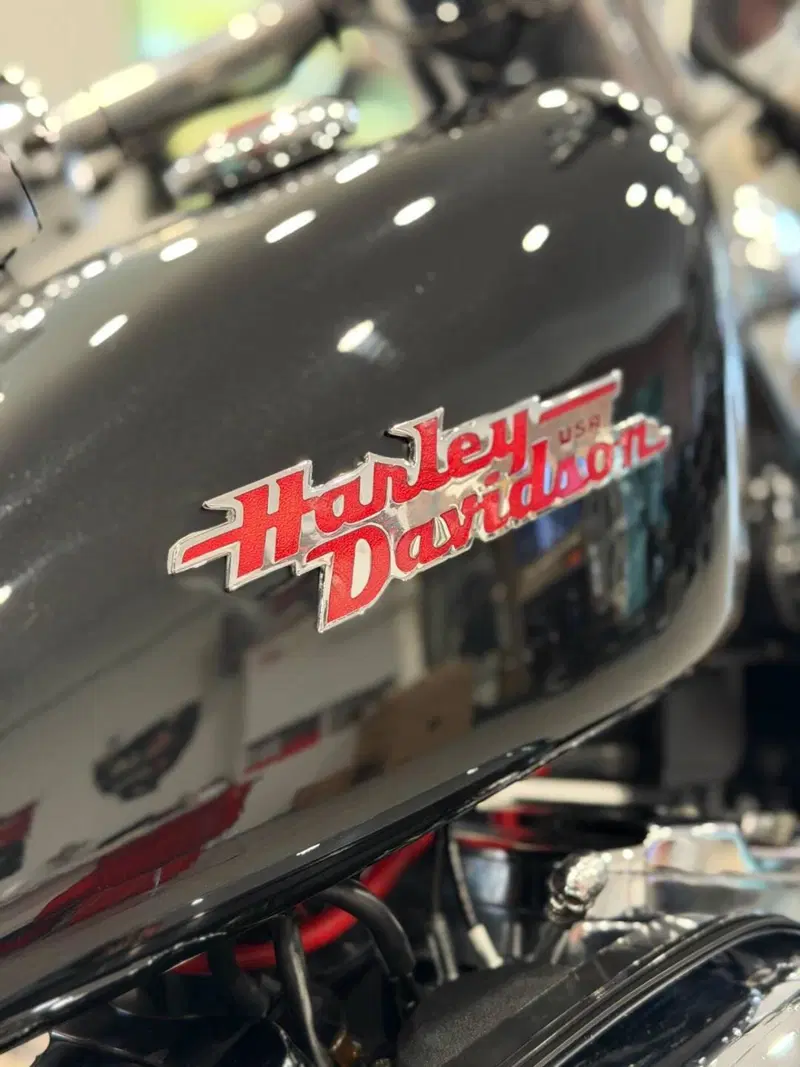Harley-Davidson 1200 Custom (1995 - 00) - XL 1200C (14)