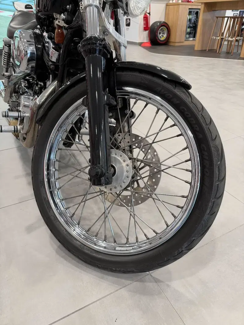 Harley-Davidson 1200 Custom (1995 - 00) - XL 1200C (15)