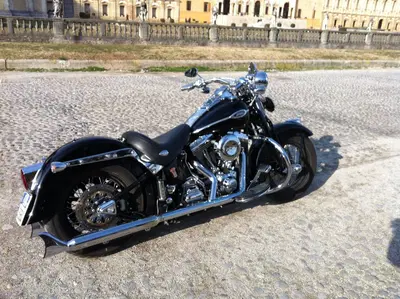 Harley-Davidson 1450 Springer Classic (2005) - FLSTSCI usata