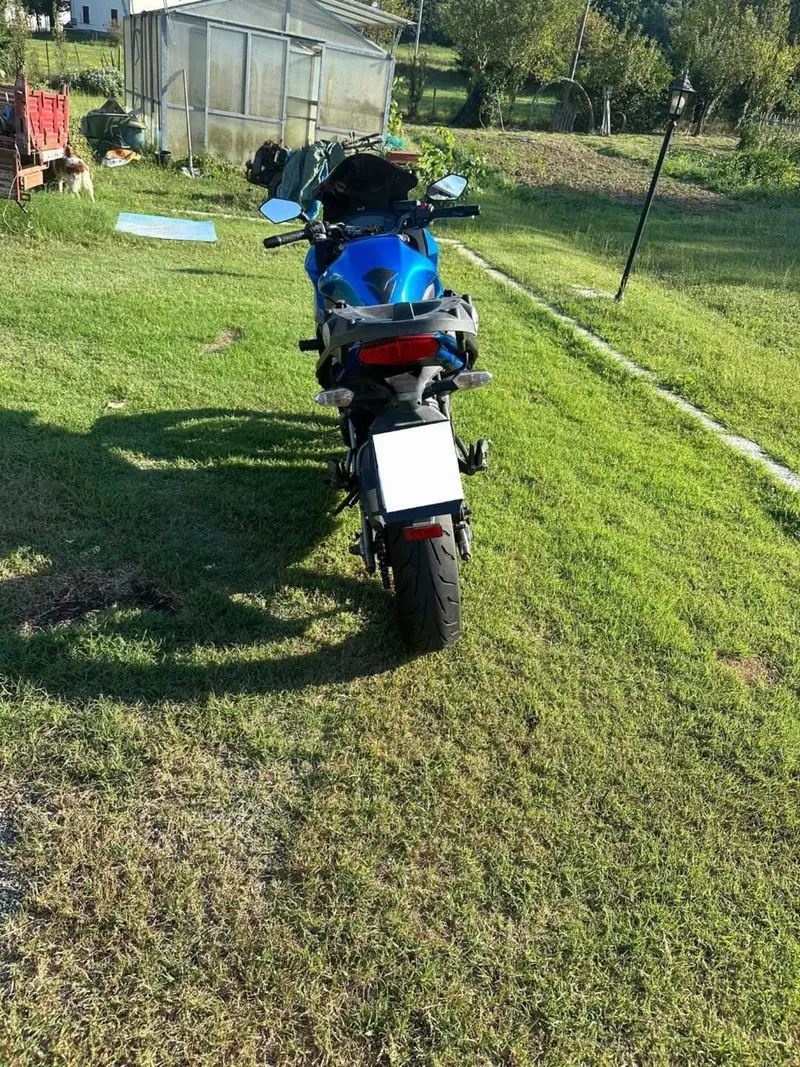 Kawasaki ER-6F (2009 - 11) (3)