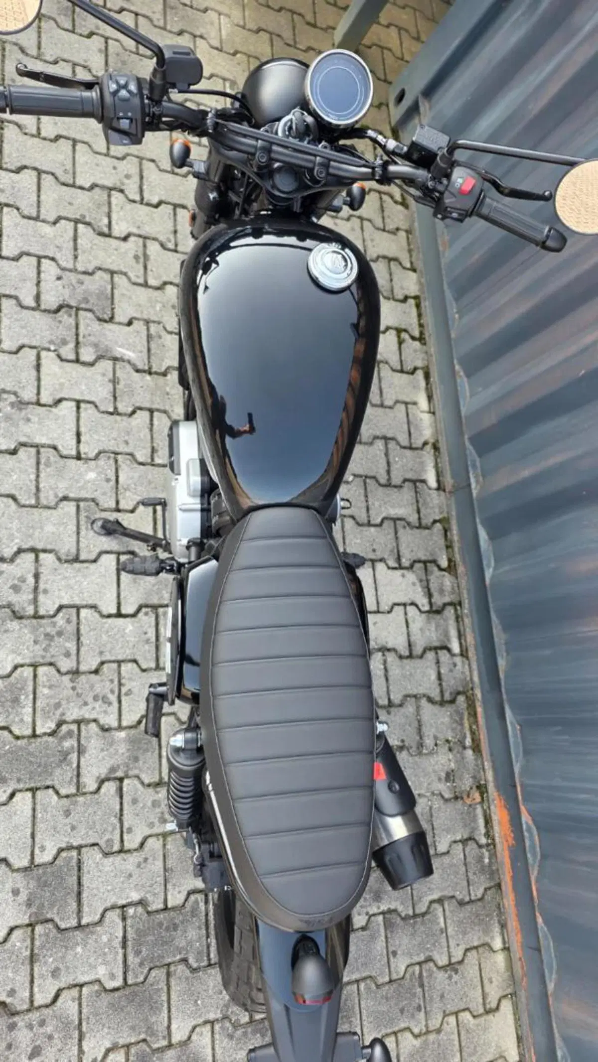 Bsa Scrambler 650 (2025 - 26) (5)