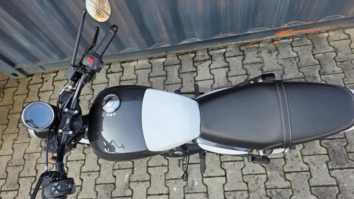 Bsa Bantam 350 (2025 - 26) (5)