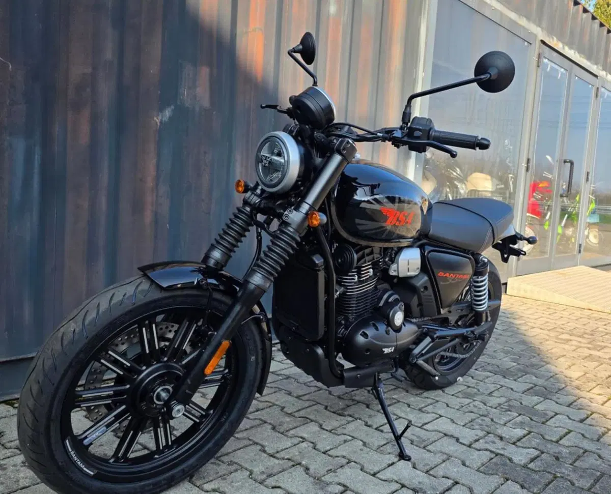 Bsa Bantam 350 (2025 - 26) (4)