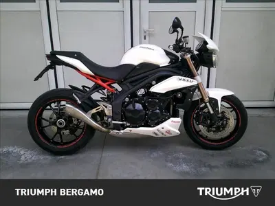 Triumph Speed Triple 1050 (2005 - 11) usata