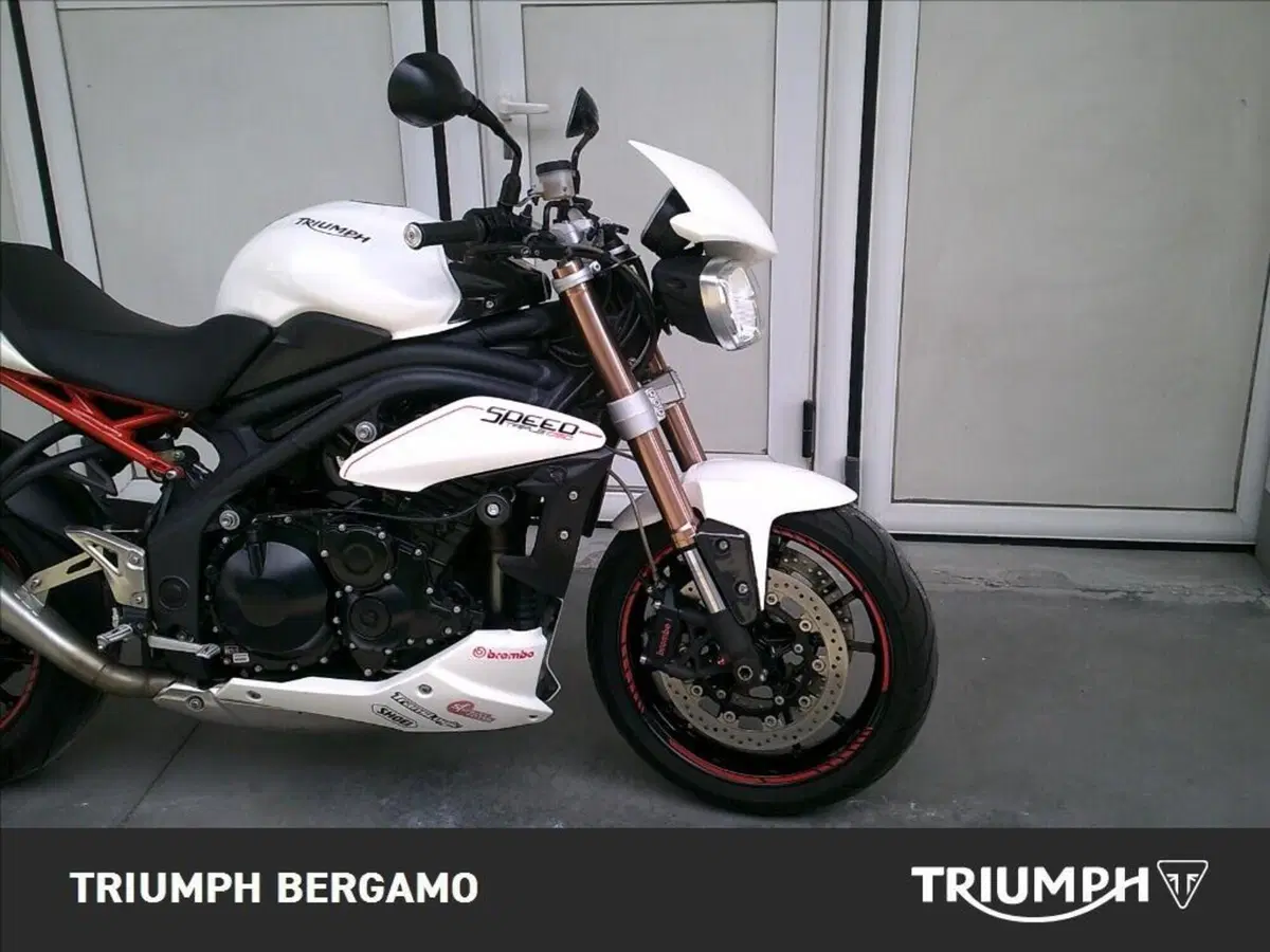 Triumph Speed Triple 1050 (2005 - 11) (7)