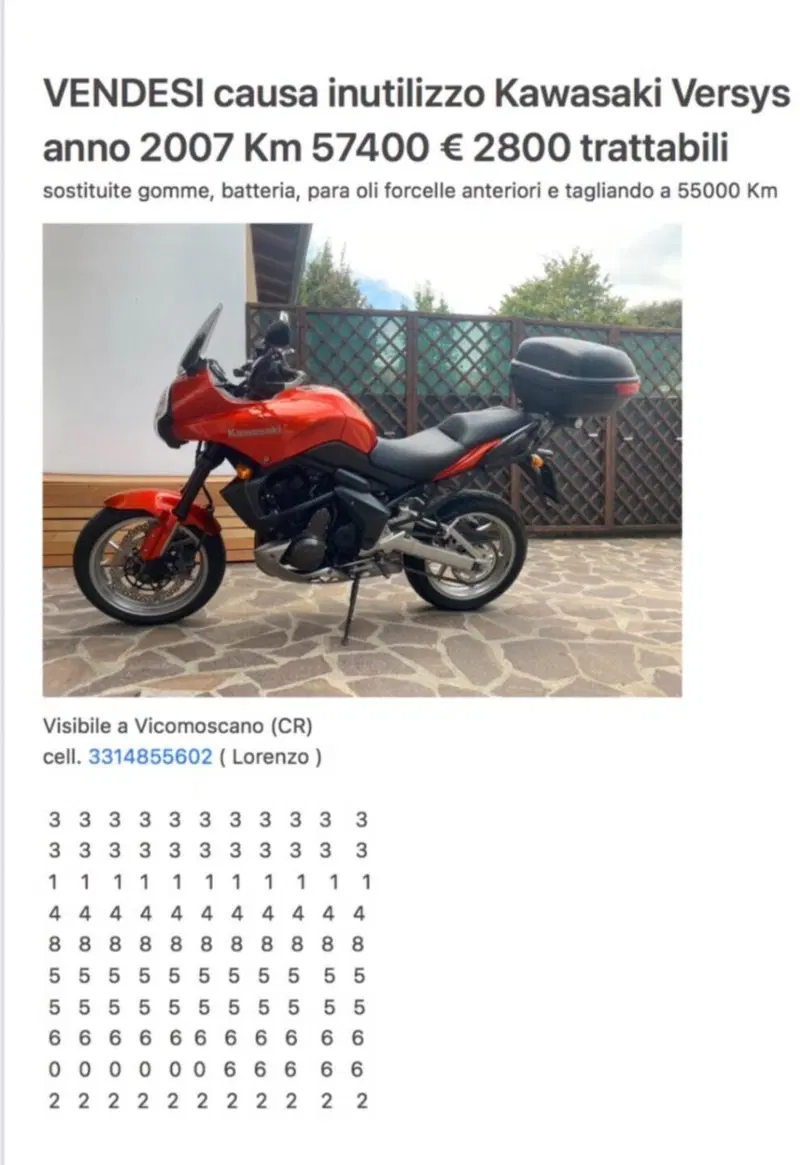 Kawasaki Versys 650 (2006 - 09) (2)
