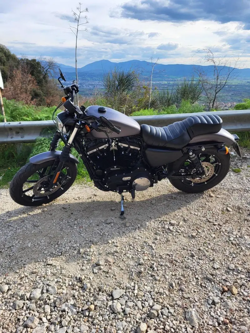 Harley-Davidson 883 Iron (2014 - 16) - XL 883N (10)