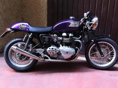 Triumph Thruxton 900 (2004 - 15) usata