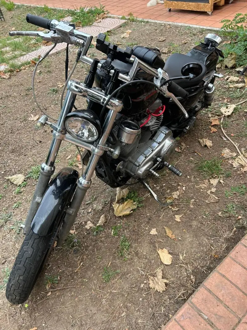 Harley-Davidson 883 Standard (2001 - 05) - XL 883 (4)