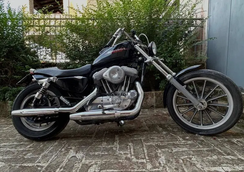 Harley-Davidson 883 Standard (2001 - 05) - XL 883 (6)