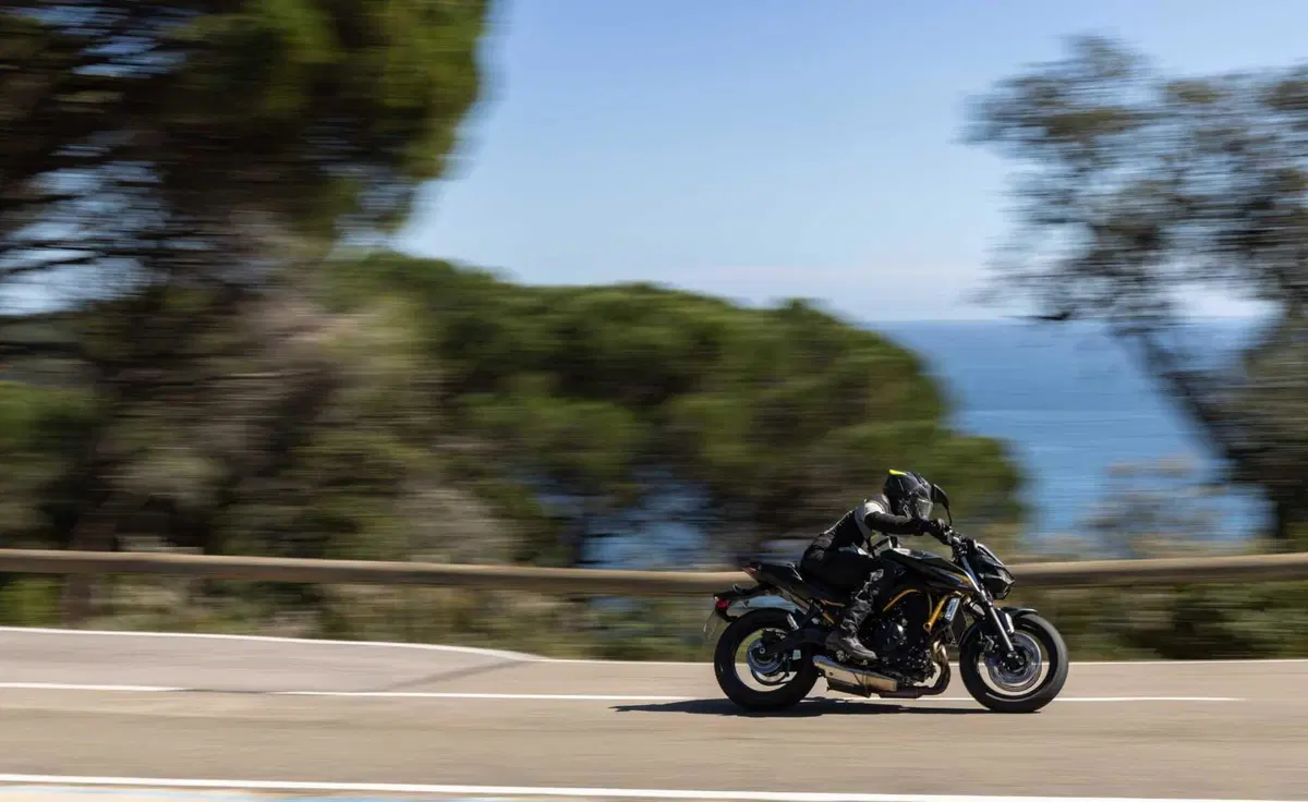 Kawasaki Z650 S: come cambia la naked giapponese? Il nostro TEST (5)