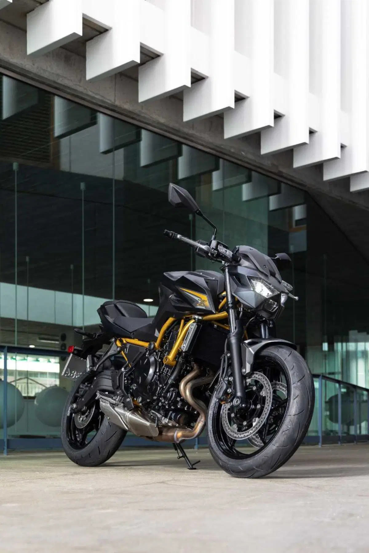Kawasaki Z650 S: come cambia la naked giapponese? Il nostro TEST (6)