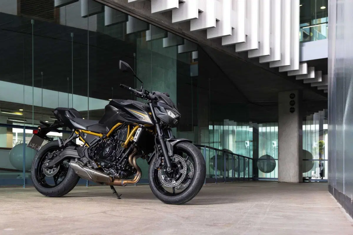 Kawasaki Z650 S: come cambia la naked giapponese? Il nostro TEST (7)