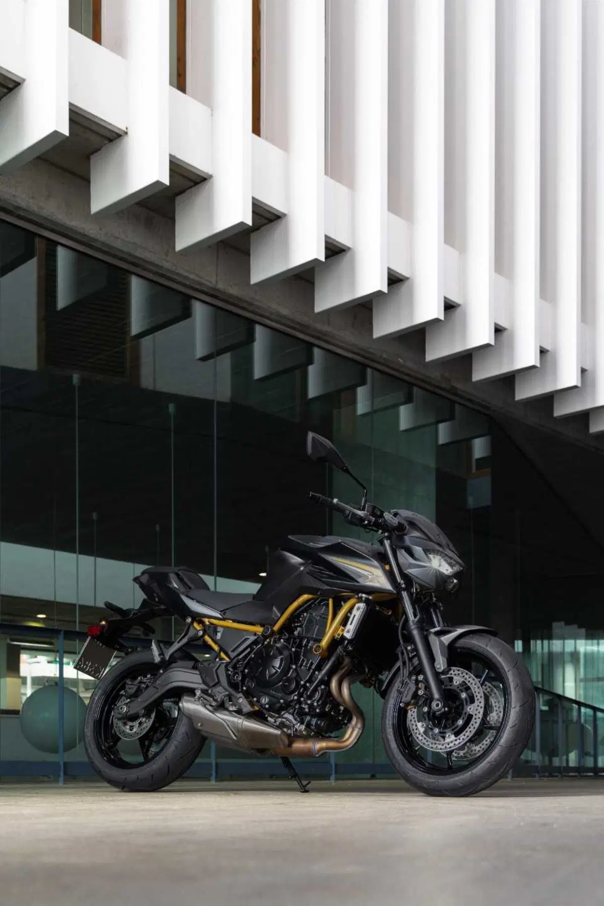 Kawasaki Z650 S: come cambia la naked giapponese? Il nostro TEST (8)