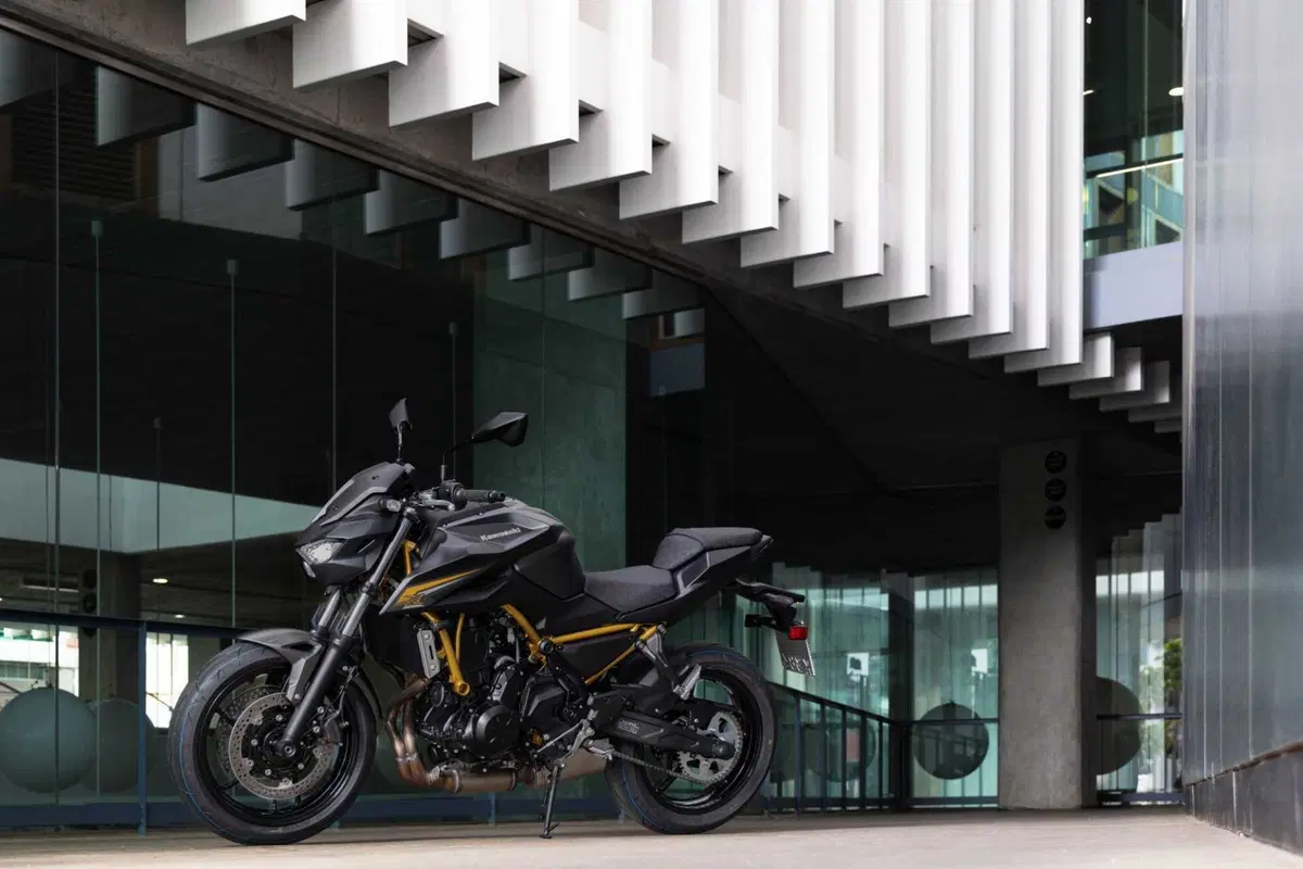 Kawasaki Z650 S: come cambia la naked giapponese? Il nostro TEST (10)
