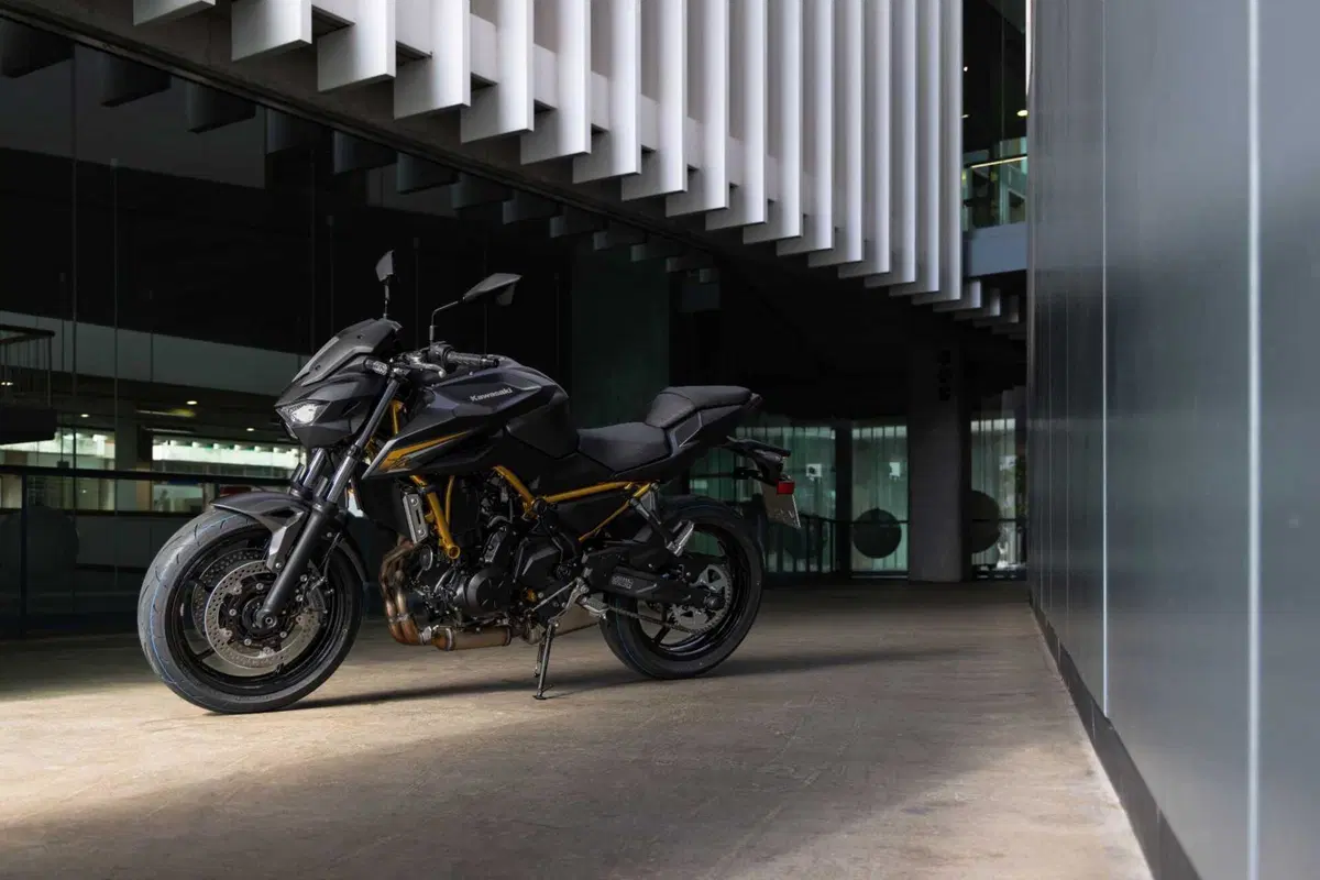 Kawasaki Z650 S: come cambia la naked giapponese? Il nostro TEST (11)