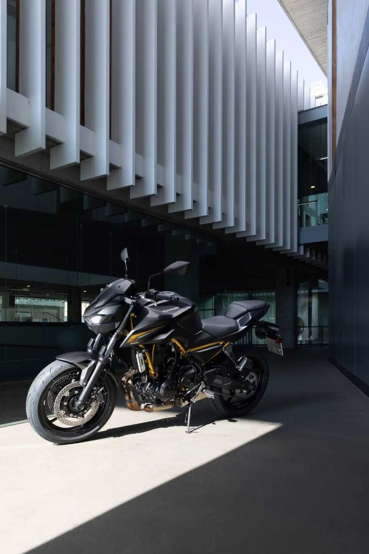 Kawasaki Z650 S: come cambia la naked giapponese? Il nostro TEST (12)