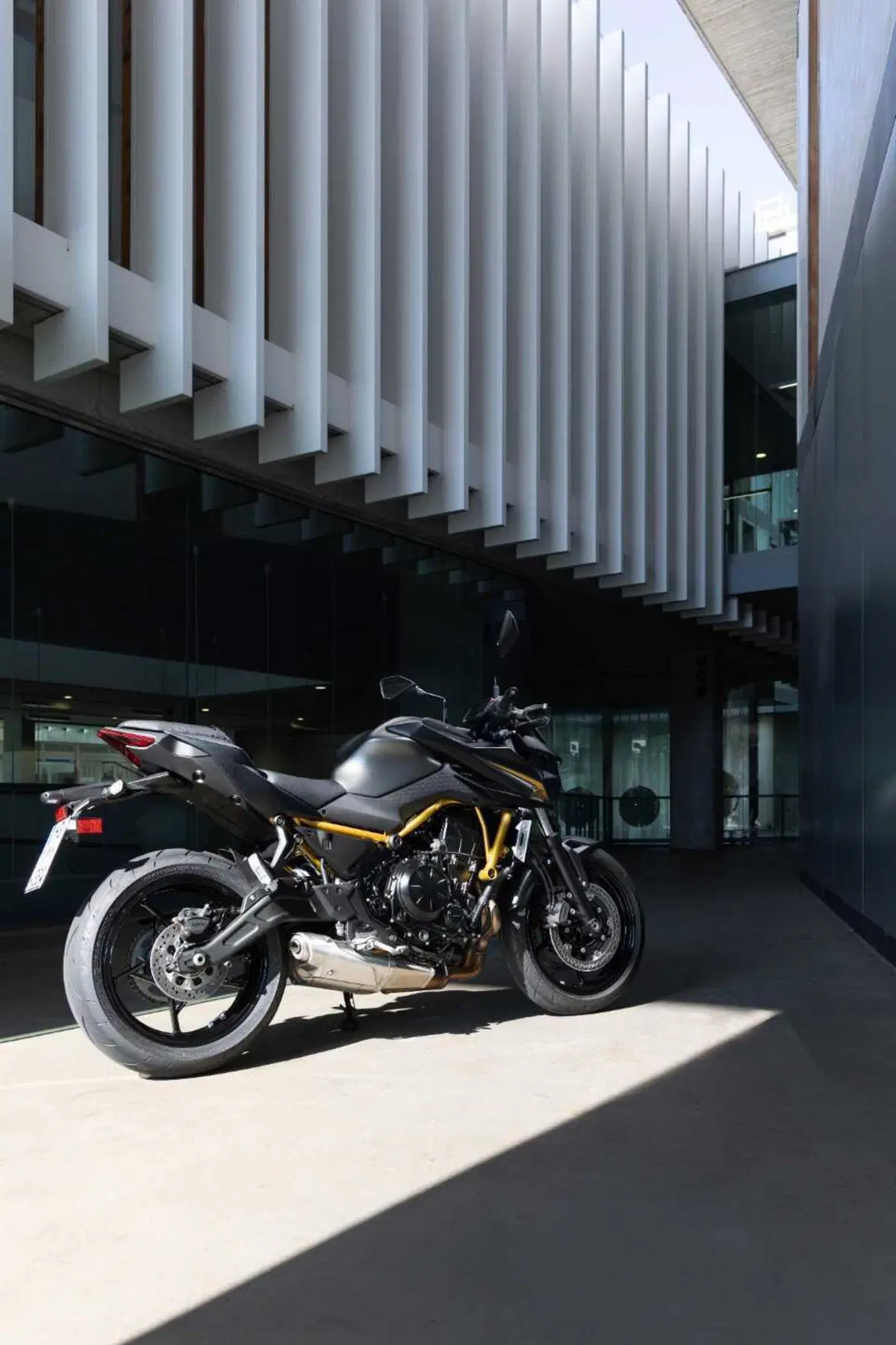 Kawasaki Z650 S: come cambia la naked giapponese? Il nostro TEST (13)