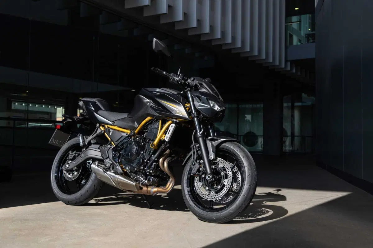 Kawasaki Z650 S: come cambia la naked giapponese? Il nostro TEST (15)