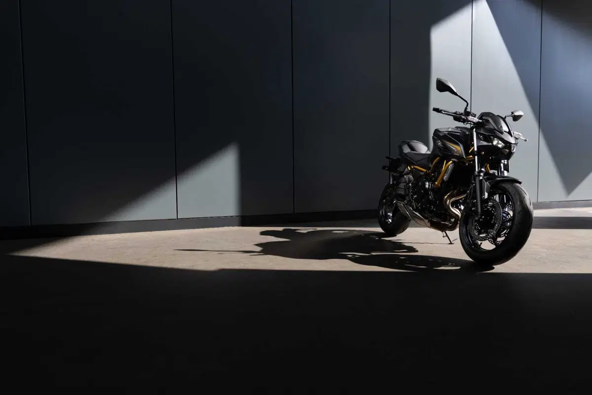 Kawasaki Z650 S: come cambia la naked giapponese? Il nostro TEST (19)