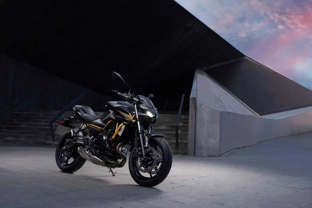Kawasaki Z650 S: come cambia la naked giapponese? Il nostro TEST (24)