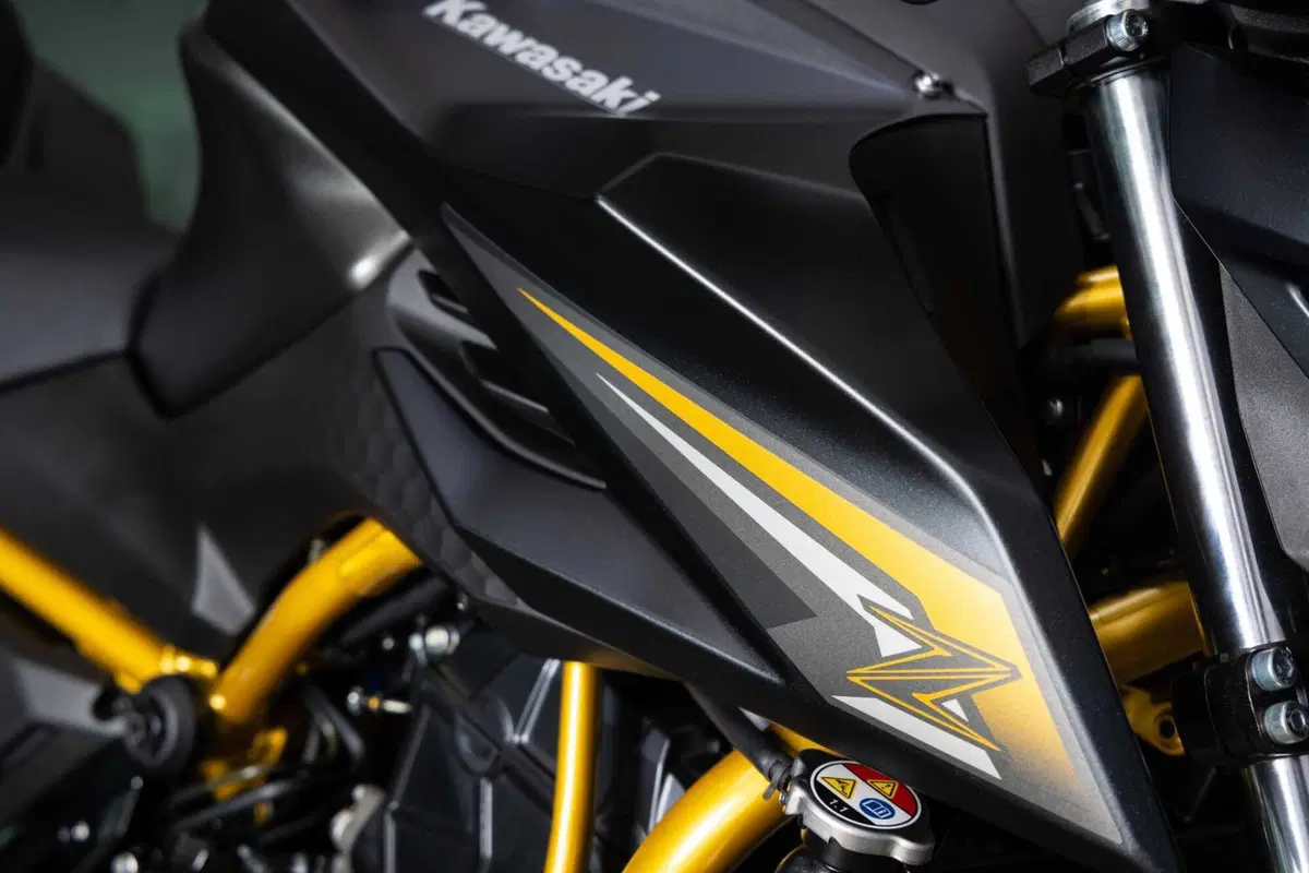Kawasaki Z650 S: come cambia la naked giapponese? Il nostro TEST (7)