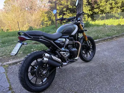 Triumph Scrambler 400 X (2024 - 26) usata
